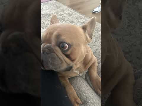 #Kesha #smelly #mean￼