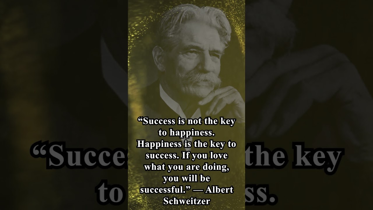 Success is not the key to happiness  Happiness  Albert Schweitzer