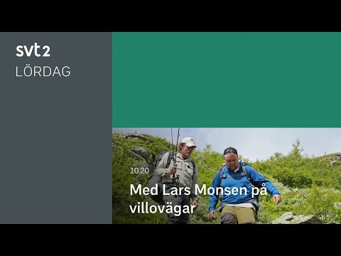 Окончание эфира канала SVT2 (Швеция). 21.08.2021