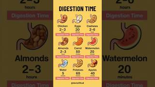 How Long Does It Take to Digest Different Foods? 🍎🍗🥕 | Digestion Time Explained #healthyeating