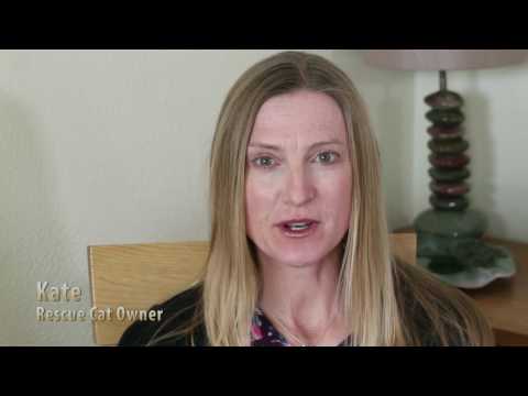 "The lion in your lap" (2017) - AS FILM -  Ellie Bunker, Josh White, Vicky Quilley-Smith