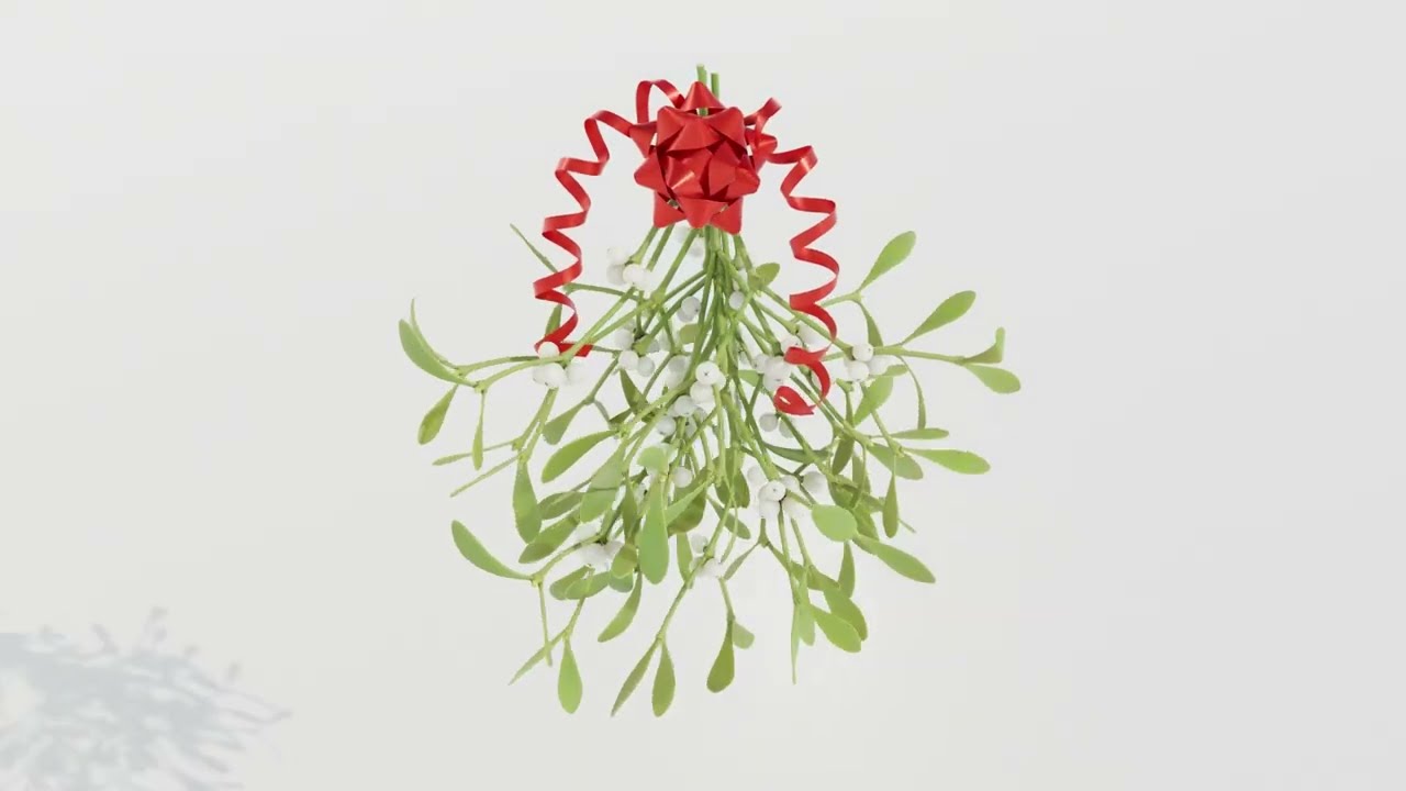 Mistletoe Bunch 3D Model