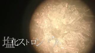 色んな物質を双眼実体顕微鏡で観察してみた。
