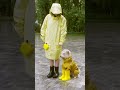 Dog In A Rain Coat #shorts