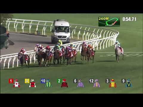 5/1/2022 (314) Astrologer - J Moreira