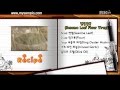 Korean Food Sesame Leaf Flour Wrap 154