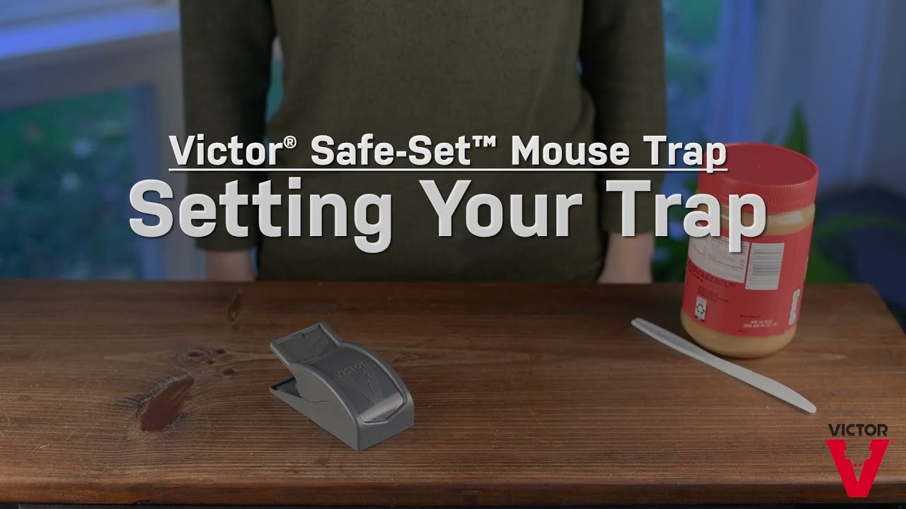 Musefeller 2 stk - Safe-Set - Victor