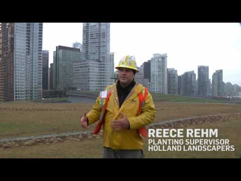 Living Green Roof: Vancouver Convention Centre - BC, Canada