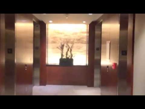 EVO LOFTS DOWNTOWN LOS ANGELES FOR SALE AND LEASE Just the Hallway