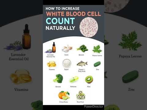 How to Increase White Blood Cell Count Naturally 💯✔️