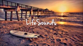 Sammy Adams - Back on Tracks