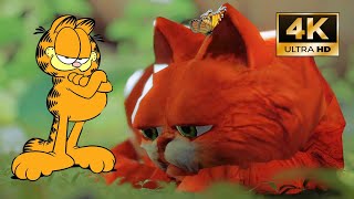 Stray MOD Play as Garfield Cartoon Edition Cute