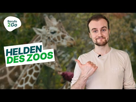Tierpfleger: Beruf, Ausbildung & Gehalt! 🦁🦍 | Berufe2Go