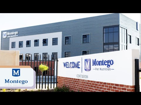 Montego Keeps Managers and Direct Reports Connected With Teamflect!