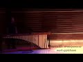 Narcissus: Strata/Panacea - Mark Applebaum (perf. Burke Rivet)