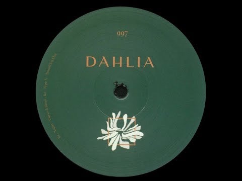 Nopax - Curve & Bend