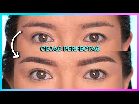 Tutorial de CEJAS PERFECTAS paso a paso