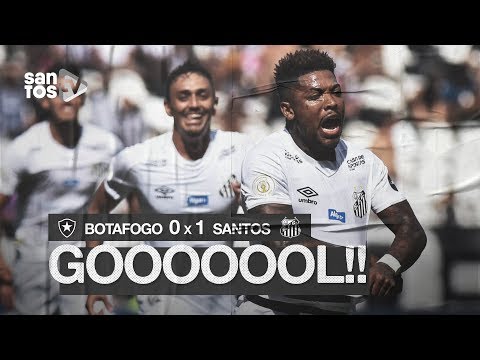 BOTAFOGO 0 X 1 SANTOS | GOL | BRASILEIRÃO (21/07/19)