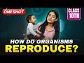 How Do Organisms Reproduce In ONE SHOT Class 10 Science Chapter 7 NCERT PYQs Samridhi S