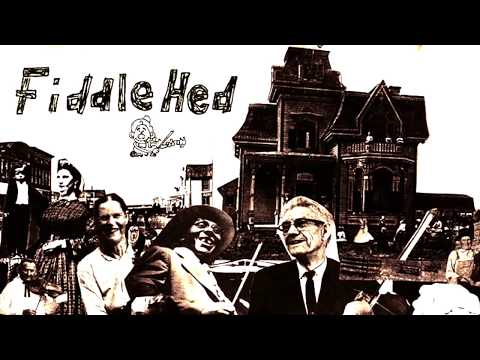 Star Wars Main Theme - Basic Fiddle Lesson