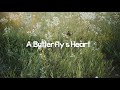 A Butterfly