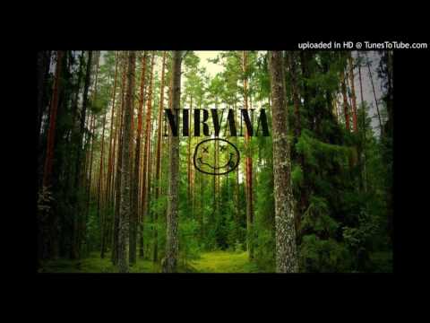Nirvana - Where Did You Sleep Last Night (In The Pines) HQ