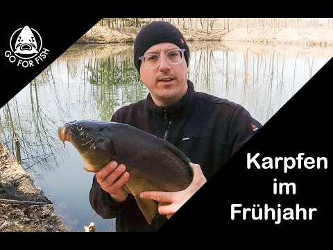 Karpfenangeln - mit Pose und Mais auf Karpfen