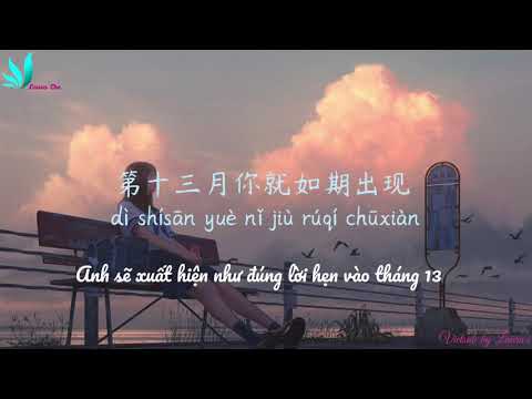 [Vietsub+Pinyin] Phi điểu và ve sầu 飞鸟和蝉 - Nhậm Nhiên 任然