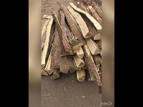 Wie man Bogenrohlinge spaltet - traditioneller Bogenbau - Bogenschießen - Südtirol - Samuel Röck