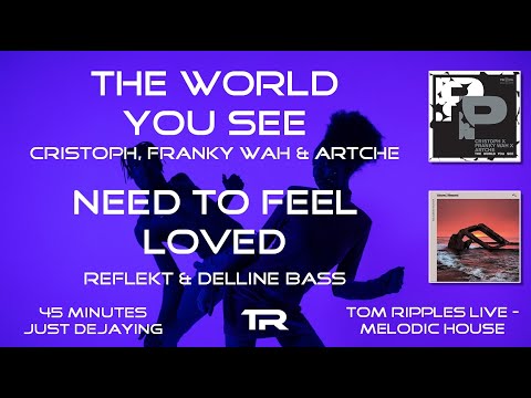 The world you see [Cristoph, Franky Wah & Artche] & Need to feel loved [Reflekt & Delline Bass]