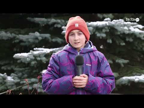 Recomandări de iarnă la munte - Nicolas Parichi