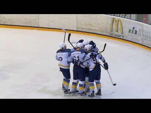 MOL107 DVTK Jegesmedvék - MAC Budapest 2:3 bü. (1:1, 1:1, 0:0, 0:0, 0:1) 2016.11.18