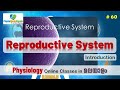 Ep.60 | Reproductive System | Introduction | Malayalam