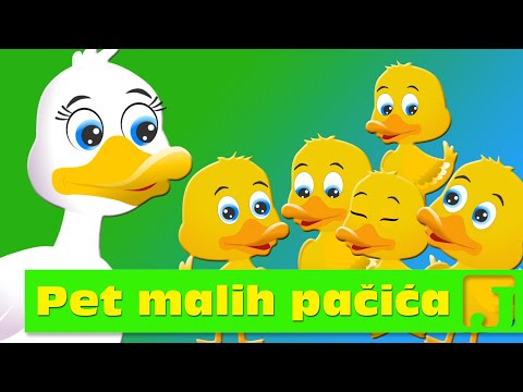Pet malih pačića | Five Little Ducks | Dečije pesme | Jaccoled