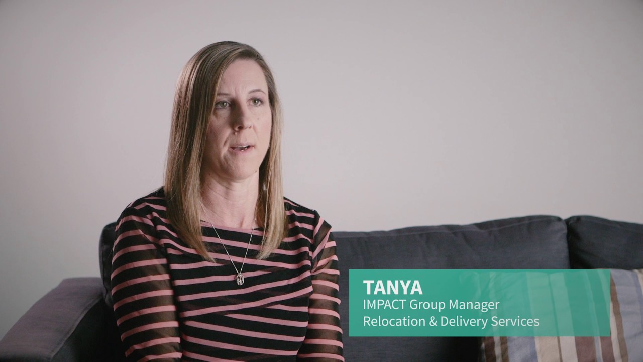 What Job Search Support Includes - IMPACT Group