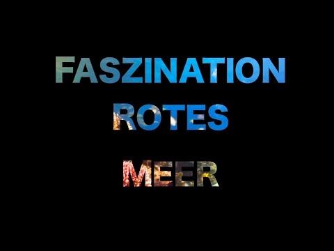 Faszination Rotes Meer