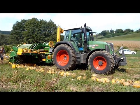 Maschinelle Kürbis-Ernte - Fend 415 - Green Bull - Profi Kürbis
