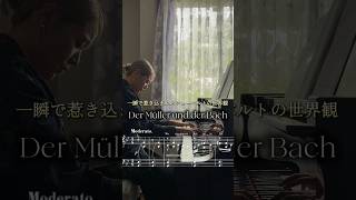 Download lagu 【弾いてみた】Der Müller und der Bach /Schubert=Liszt “水車職人と小川”/シューベルト（リスト編曲） #piano #classicalmusic #ピアノ mp3