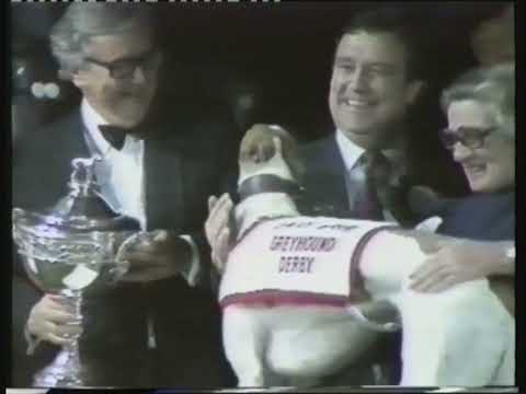 1983 GREYHOUND DERBY FINAL - IM SLIPPY