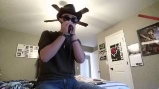 Paul Butterfield: Shake Your Moneymaker