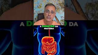 Água com Limão: Como o Ácido Cítrico Ativa Sua Digestão