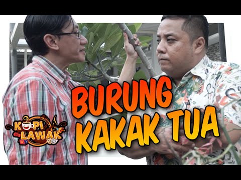 burung-kakak-tua