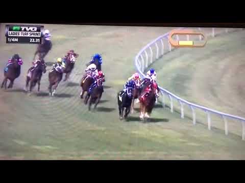 LADIE'S TURF SPRINT (G STAKES) 1/27/18 - GIRLS KNOW BEST !!!