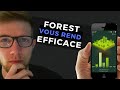 Concentré et efficace  |  FOREST application