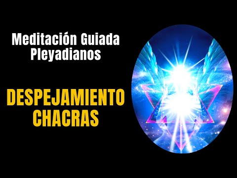🧘GUIDED MEDITATION 🙏 CHAKRA CLEARING 🙏 ⁂14 minutes⁂ 🔵 [PLEIADIAN Exercise Manual]