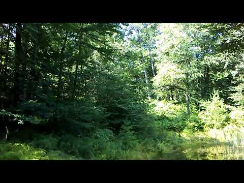 FMF 2015 : International Tv Series Gala: Vikings Suite Trevor Morris