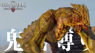 #11【鬼畜縛り】シリのおしりを追いかける。ぐふ。【The Witcher 3 wildhunt】