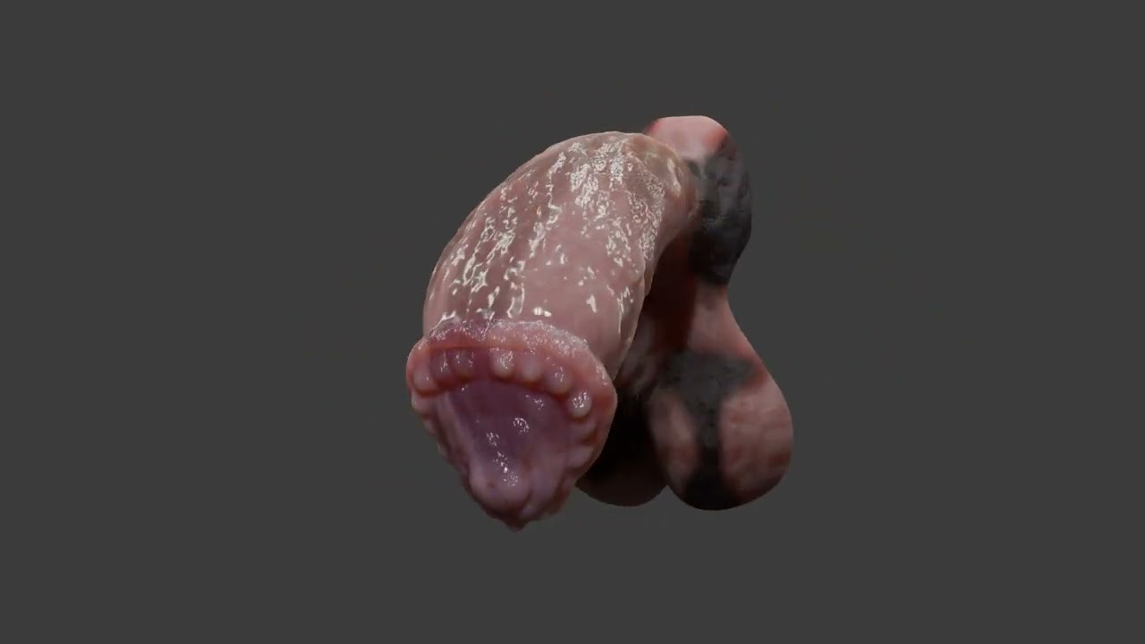 Fantasia Minotauro P&ecirc;nis Sextoy Rigged Modelo 3D