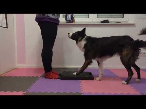 Obi 1 Kimbo - Grundstellung erste Schritte