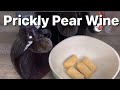 Prickly Pear Wine